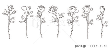 薔薇の線画イラストセット、バリエーション素材のイラスト素材