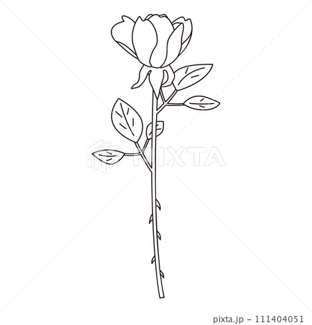 一輪の薔薇の線画イラスト、ベクター 一輪の薔薇の線画イラスト、ベクター 111404051