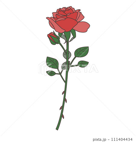 一輪の薔薇のイラスト ベクターのイラスト素材 [111404434] - PIXTA