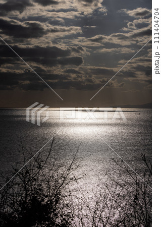 静かな相模湾の風景 111404704