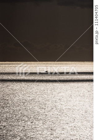 静かな相模湾の風景 111404705