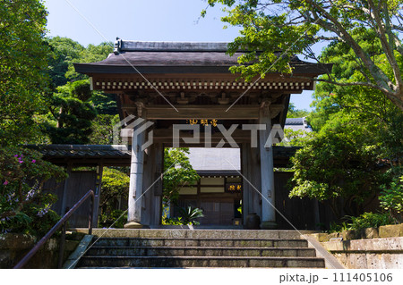 古都鎌倉の初夏　成就院　山門 111405106