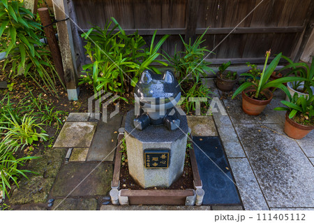 古都鎌倉の初夏 成就院 なでかえる 古都鎌倉の初夏 成就院 なでかえる 111405112