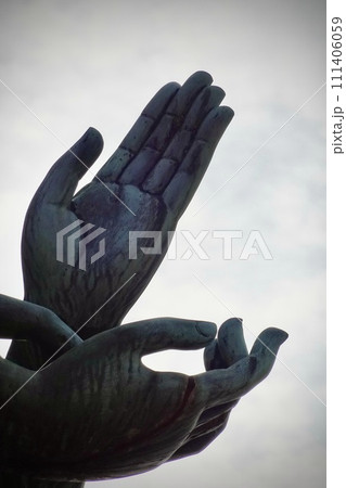 観音様の手 111406059