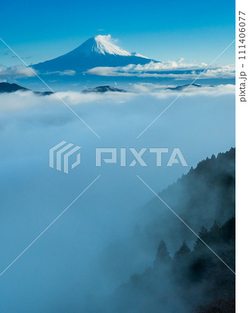 清水吉原から見る富士山と山並みを隠すほどの雲海 111406077