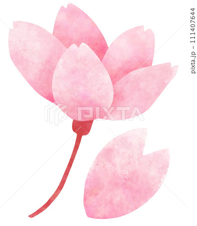 横から見た桜の花のシンプルおしゃれなイラスト素材 七分咲き 横から見た桜の花のシンプルおしゃれなイラスト素材 七分咲き 111407644