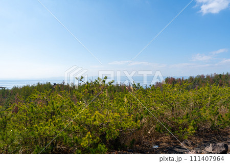 鹿児島　桜島の風景 有村溶岩展望所 111407964