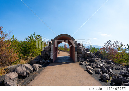 鹿児島 桜島の風景 有村溶岩展望所 鹿児島 桜島の風景 有村溶岩展望所 111407975