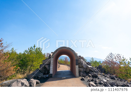 鹿児島 桜島の風景 有村溶岩展望所 鹿児島 桜島の風景 有村溶岩展望所 111407976