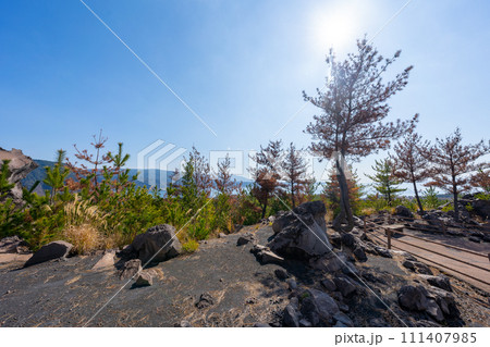 鹿児島　桜島の風景 有村溶岩展望所 111407985