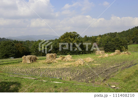 修学院離宮 田園風景 稲架 修学院離宮 田園風景 稲架 111408210