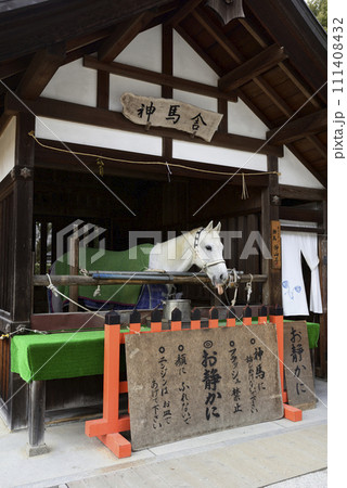 上賀茂神社(賀茂別雷神社)神馬舎「神馬」 上賀茂神社(賀茂別雷神社)神馬舎「神馬」 111408432