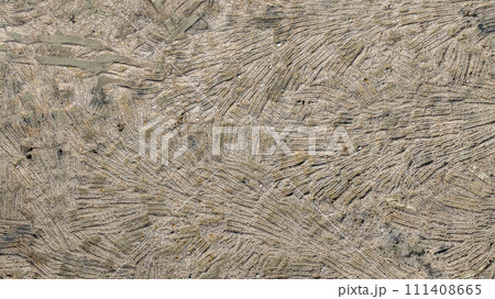 Abstract relief rough gritty brown surface of background texture, Ground surface.Close up natural background.soil surface top view. 111408665