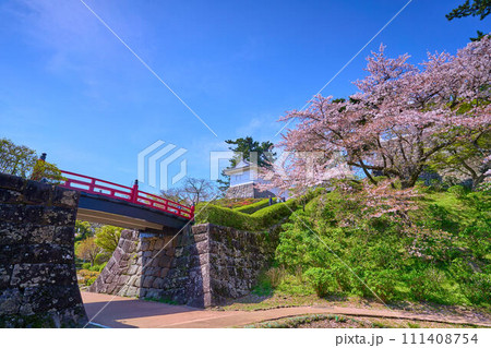 桜咲く神奈川県小田原市の小田原城址公園の常盤木橋付近から常盤木門方面を見る 桜咲く神奈川県小田原市の小田原城址公園の常盤木橋付近から常盤木門方面を見る 111408754