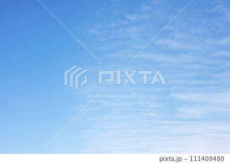 春の空 青空 空 イメージ 【東京都】 春の空 青空 空 イメージ 【東京都】 111409480