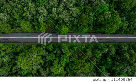 Aerial top view of green forest tree and global globe, Tropical rain forest tree ecosystem and healthy environment, Texture and background of green tree forest, Global warming save earth. Aerial top view of green forest tree and global globe, Tropical rain forest tree ecosystem and healthy environment, Texture and background of green tree forest, Global warming save earth. 111409864