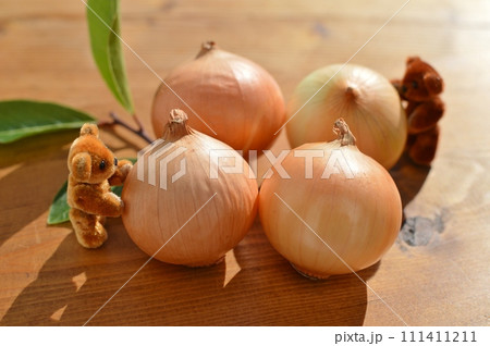 ぺコロスとローリエと小さいテディベア　 111411211