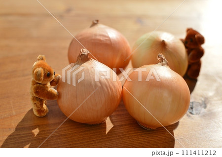 ぺコロスと小さいテディベア ぺコロスと小さいテディベア 111411212