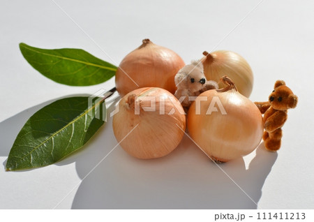 ぺコロスとローリエと小さいテディベア　 111411213