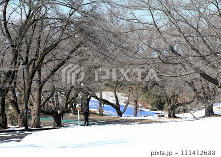 雪の積もった公園 雪の積もった公園 111412688