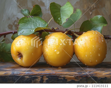 wet yellow apples closeup 111413111