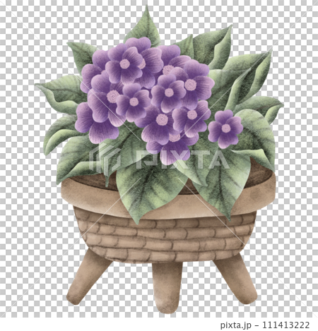 hand painted watercolor flower pot hand painted watercolor flower pot 111413222