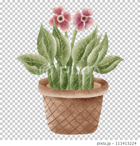 hand painted watercolor flower pot 111413224