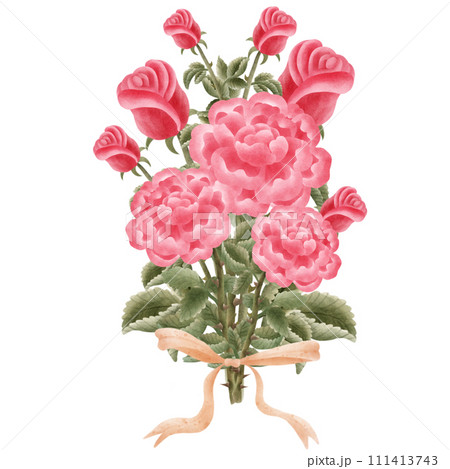 hand painted watercolor pink rose flower hand painted watercolor pink rose flower 111413743