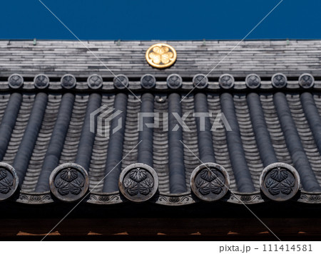 冬の青空と伝通院の本堂の屋根　東京都文京区 111414581