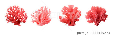Red coral vector set isolated on white background Red coral vector set isolated on white background 111415273