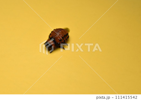 Colorado potato beetle larva, top view. Colorado potato beetle larva, top view. 111415542