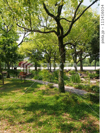 エディオンピースウィング広島 中央公園 エディオンピースウィング広島 中央公園 111416034