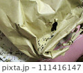 米の鼠害 米の鼠害 111416147