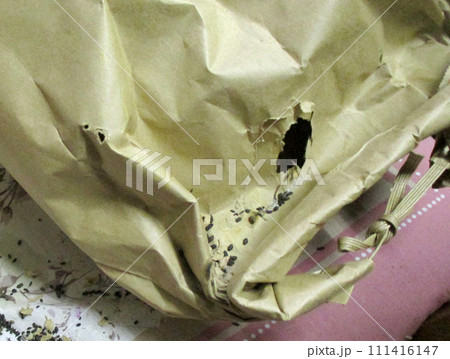 米の鼠害 111416147