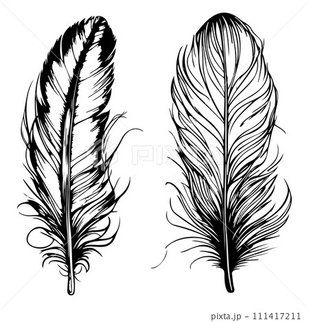 bird feather. Hand drawn illustration converted to vector. Outline with white background 111417211