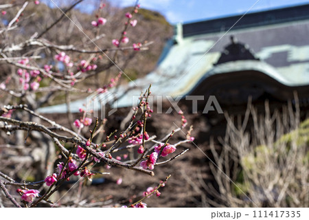 鎌倉2402 妙法寺1 鎌倉2402 妙法寺1 111417335