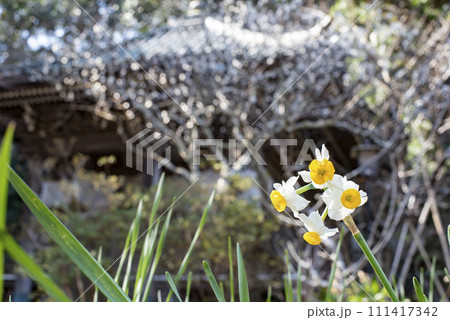鎌倉2402　妙法寺7 111417342