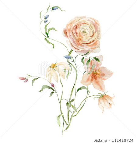 Watercolor bouquet of chamomile, ranunculus and leaves. Hand painted card of floral elements isolated on white background. Holiday flowers Illustration for design, print, fabric, background. 111418724
