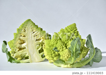 おいしい野菜ロマネスコ おいしい野菜ロマネスコ 111419003