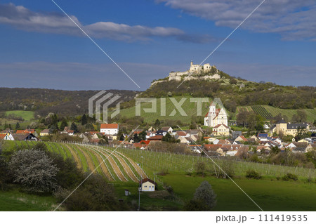 Falkenstein ruins and town with vineyard, Lower Austria, Austria 111419535