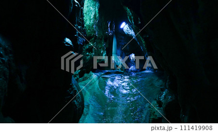 岡山県新見市井倉にある井倉洞 111419908