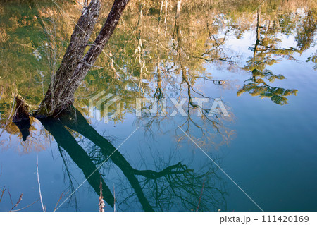 枯れ木と湖、揺れて揺らぐ水面の幻影の写真素材 [111420169] - PIXTA