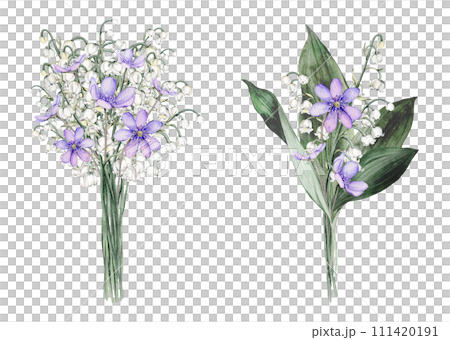 Set of watercolor first spring flowers. Coppice and llily of the valley delicate lilac and white flowers. Hand drawn illustration isolated background. Clipart botanical painting. Design for postcard 111420191