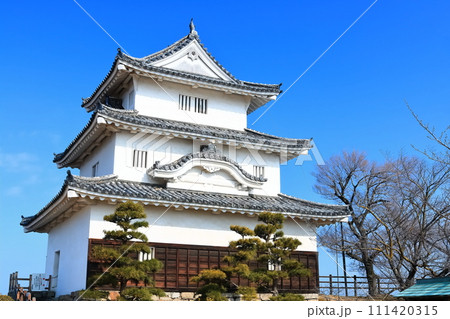 【香川県】冬の丸亀城（現存天守と石垣の名城） 111420315