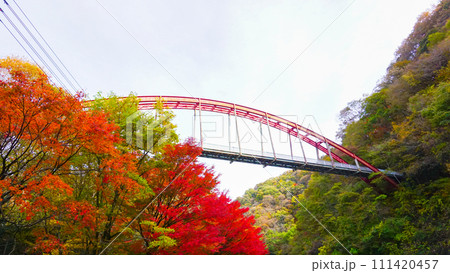 帝釈峡の駐車場付近の紅葉 帝釈峡の駐車場付近の紅葉 111420457