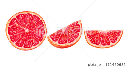 Collection of cutaway grapefruit.Illustration with watercolor and markers.Clip art of ecological pure fruit.Hand drawn isolated sketch.Healthy food for food packaging, juice, menu,agriculture. 111420683