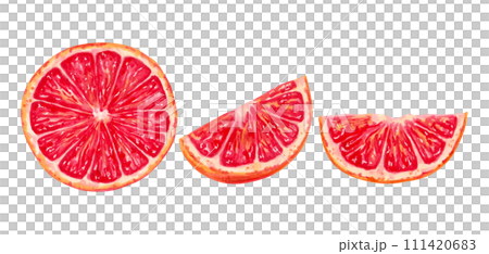 Collection of cutaway grapefruit.Illustration with watercolor and markers.Clip art of ecological pure fruit.Hand drawn isolated sketch.Healthy food for food packaging, juice, menu,agriculture. 111420683