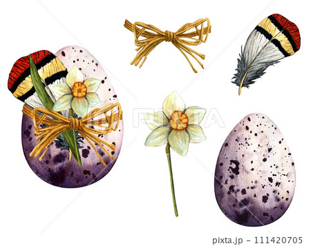 Easter eggs with daffodils, spring flowers, feather. Hand-drawn watercolor illustration for holiday decoration of cards, posters and various decor Easter eggs with daffodils, spring flowers, feather. Hand-drawn watercolor illustration for holiday decoration of cards, posters and various decor 111420705