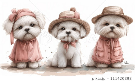 Three small dogs wearing hats and dresses sitting on a sidewalk, AI 111420898