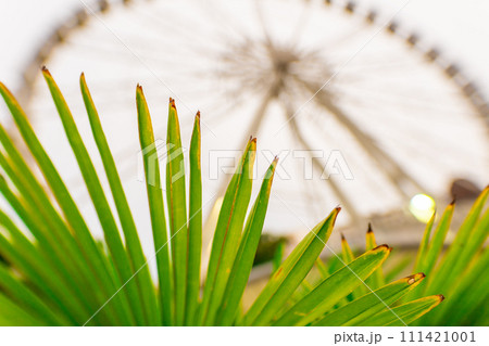 Big, tall white Ferris wheel in front of a perfect blue sky. Happy summer vacation feelings. Big, tall white Ferris wheel in front of a perfect blue sky. Happy summer vacation feelings. 111421001
